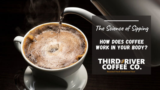 The Science of Sipping: How Coffee Works in Your Body - Third River Coffee